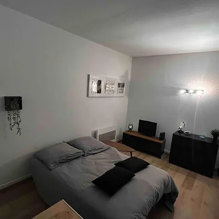 Au P'tit Ecureuil - Hypercentre Apartment