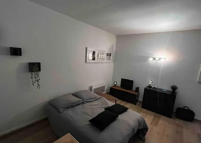 Au P'tit Ecureuil - Hypercentre Apartment