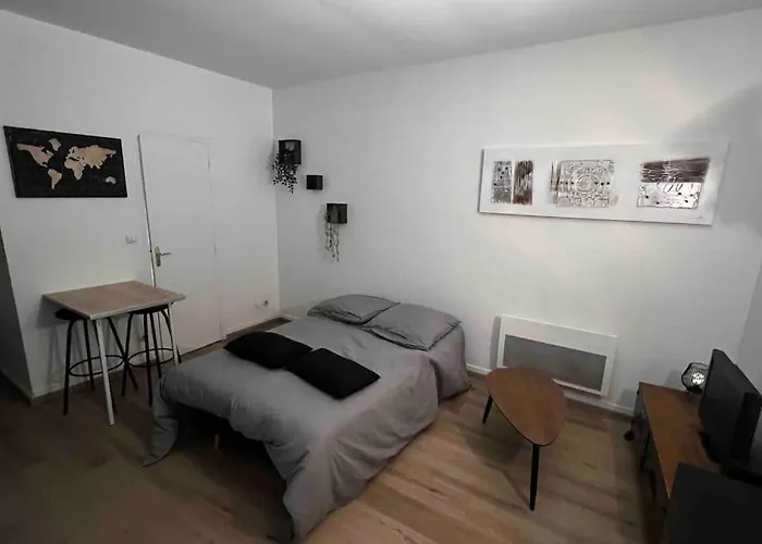 Au P'tit Ecureuil - Hypercentre Apartment