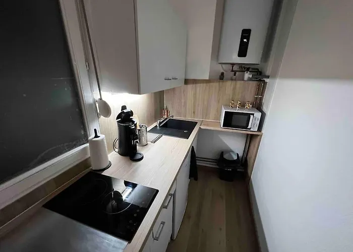 Apartment Au P'tit Ecureuil - Hypercentre *