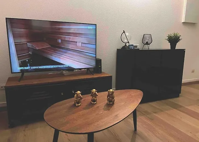 Au P'tit Ecureuil - Hypercentre Apartment *